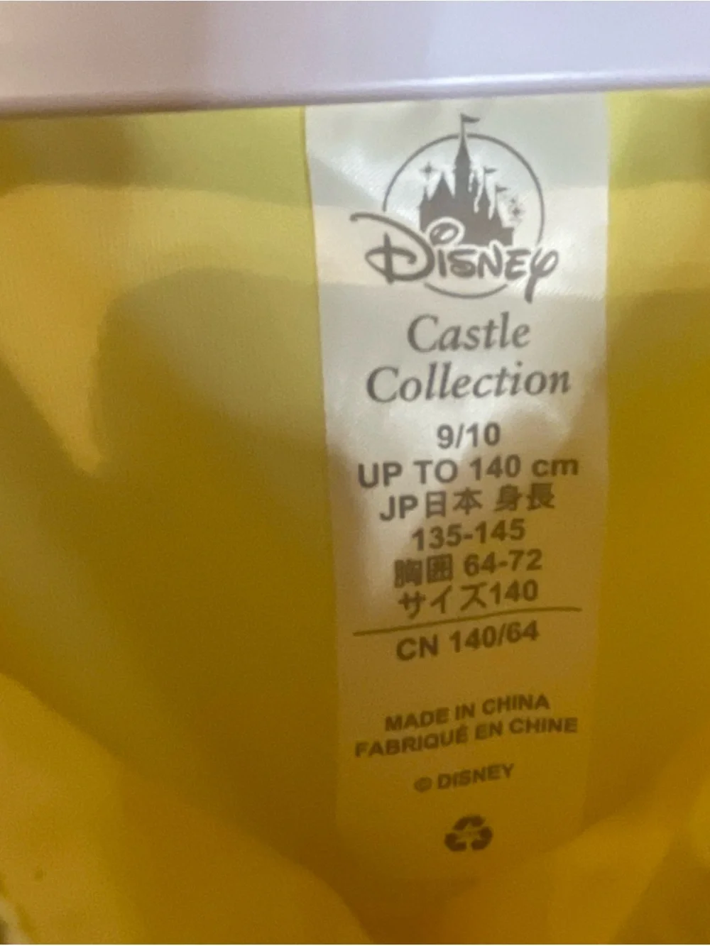 Disney castle collection
